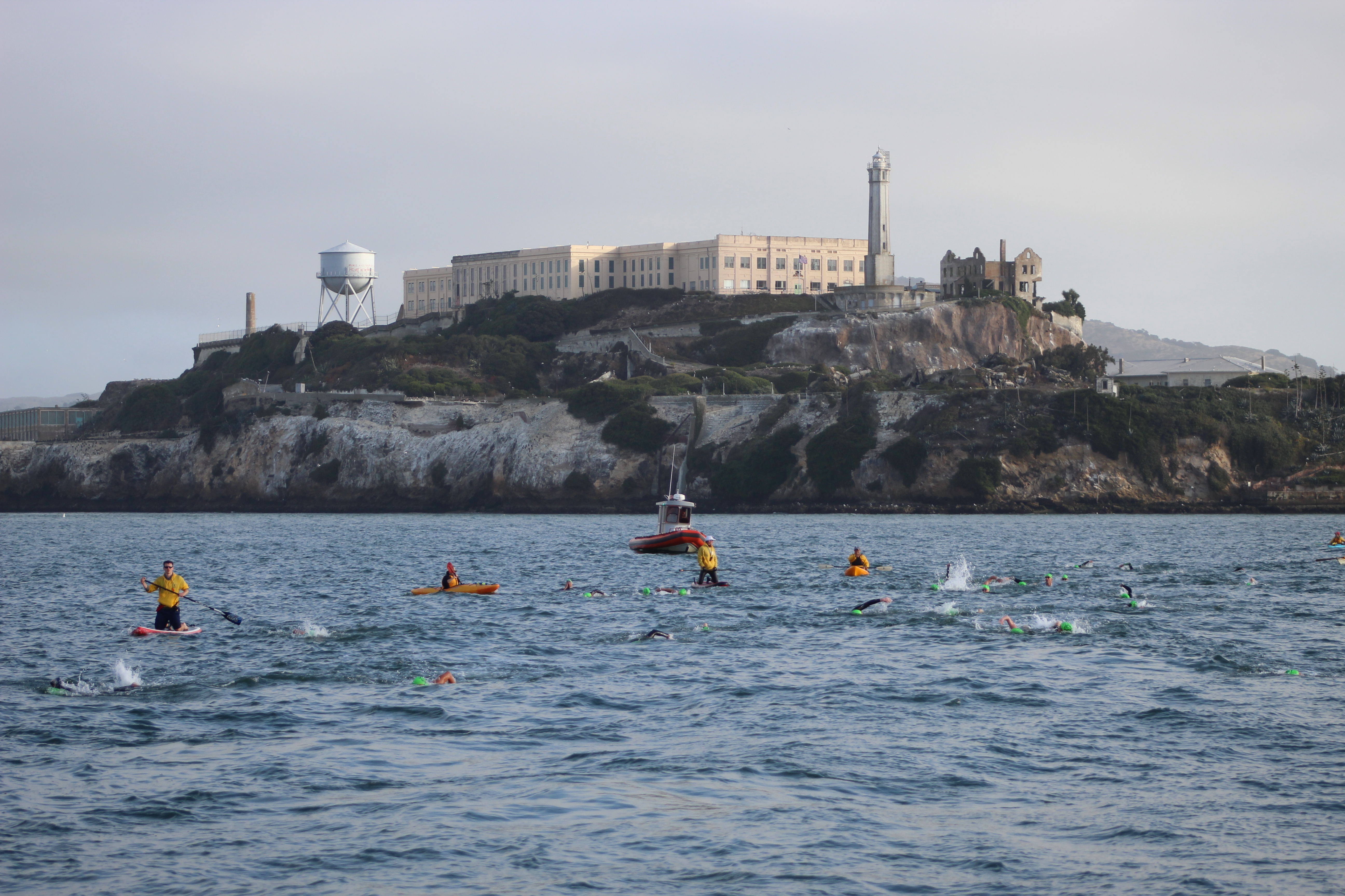 Swimmers at Alcatraz Island