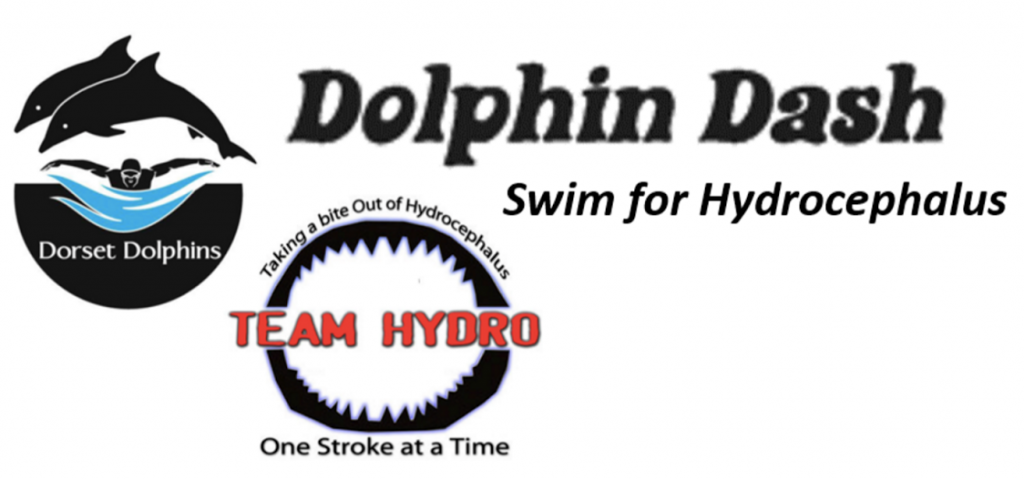 Dolphin Dash logo and Team Hydro branding